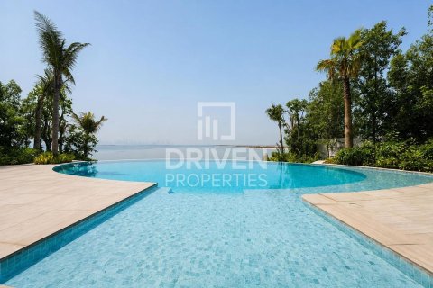 The World Islands, Dubai, UAE의 임대용 빌라 2255.04제곱미터 번호 745394 - 사진 3