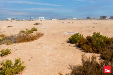 Jebel Ali, Dubai, UAE의 판매용 토지 916.3제곱미터 번호 660296 - 사진 11