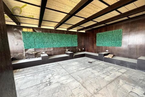 Villa zur Miete in Shamal Julphar, Ras Al Khaimah, VAE 4 Schlafzimmer, 371.6 m2 Nr. 512575 - Foto 19