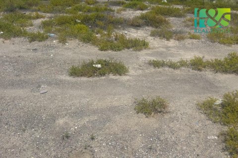 阿联酋 Ras Al Khaimah 待售 : 650.4 平方米 , 编号568517 - 照片 4