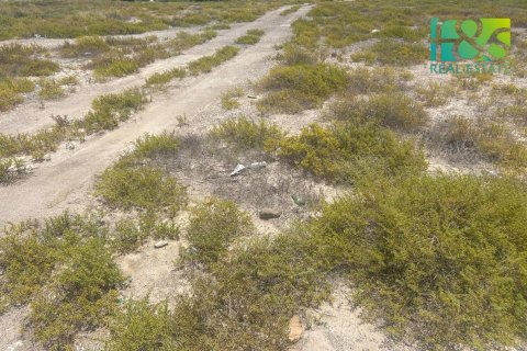 阿联酋 Ras Al Khaimah 待售 : 650.4 平方米 , 编号568517 - 照片 2