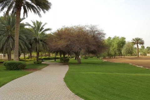 Al Jaheli - fotoğraf 4