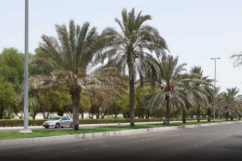 Al Aman - Foto 2