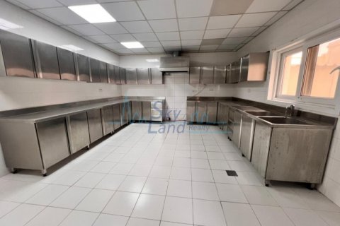 Villa para arrendamento em Umm Suqeim, Dubai, EAU 5 quartos, 604 m2 № 576757 - foto 12