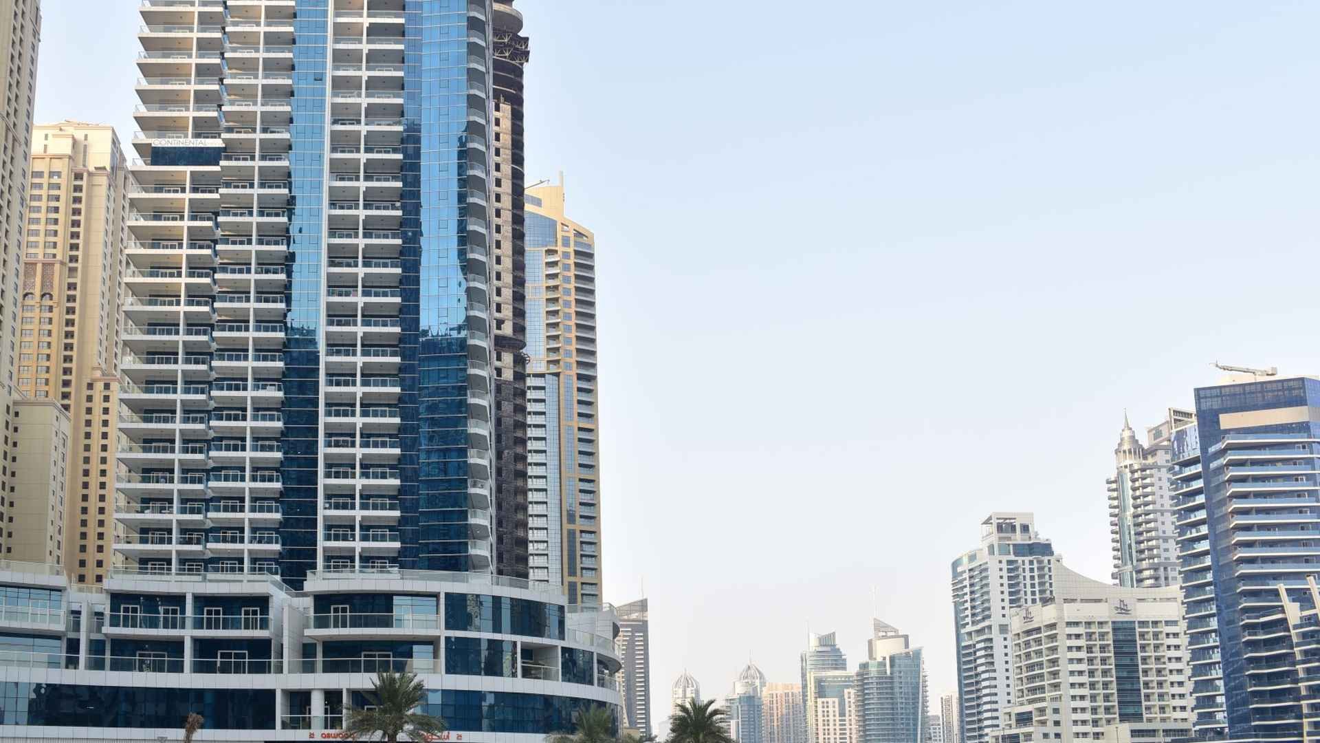 DELPHINE TOWER
