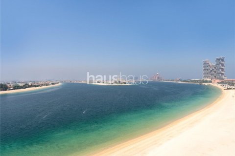 Penthouse in Palm Jumeirah, Dubai, VAE: 4 Schlafzimmer, 456 m2 Nr. 625816