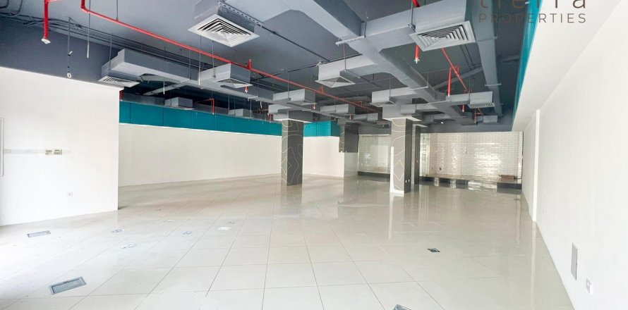Trgovina u Bur Dubai, UAE 165.4 m2 Br. 569271