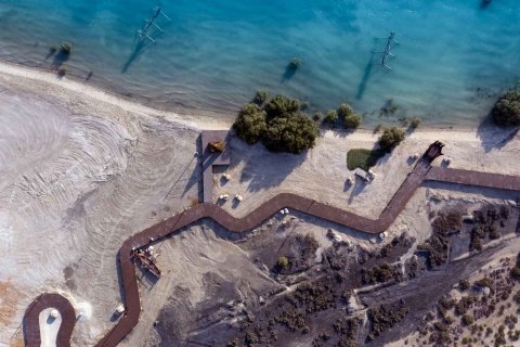 Al Hudayriat Island - صورة 5