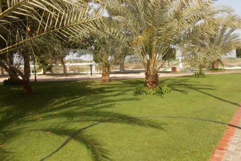 Al Bahia - фото 5