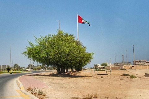 Dalma Island - 사진 2