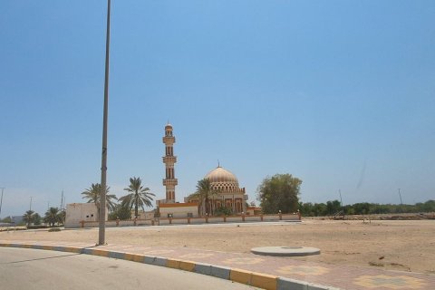 Dalma Island - 사진 4