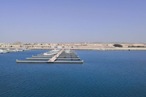 Dalma Island - 사진 8