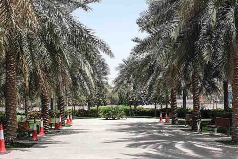 Al Qurm - photo 5