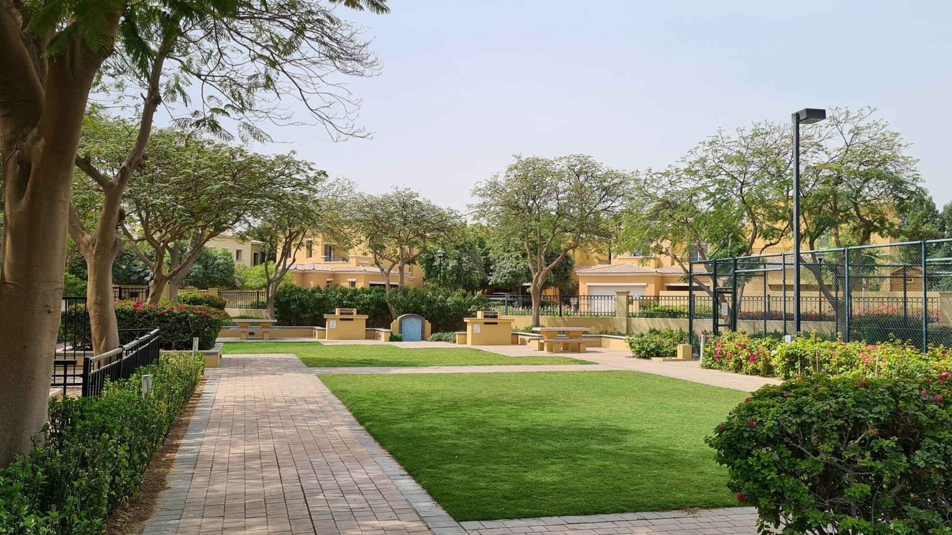 PALMERA 4
