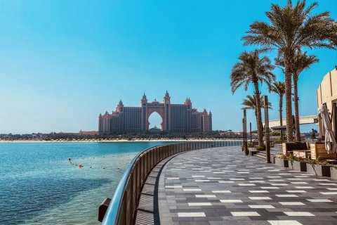 Bangunan di Palm Jumeirah, Dubai, UEA 42735.3984 m2 nomor 133893 - foto 5