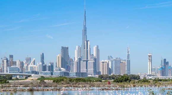 How to Get a UAE Work Visa?