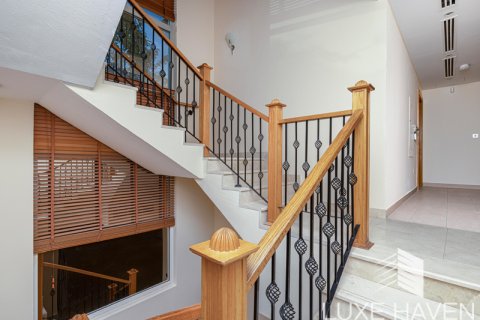 Villa itt: Jumeirah Park, Dubai, EAE, 4 hálószoba, 455.22 m², azonosító: 391507 - fénykép 24