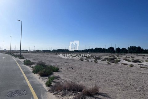 Land te koop in Jebel Ali, Dubai, VAE 900 vr.m., nr 593475 - foto 10