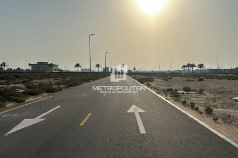 Land te koop in Jebel Ali, Dubai, VAE 900 vr.m., nr 593475 - foto 20