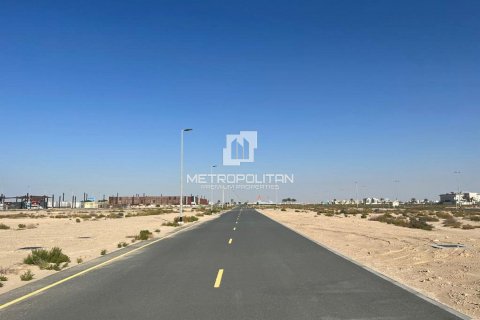 Land te koop in Jebel Ali, Dubai, VAE 900 vr.m., nr 593475 - foto 5
