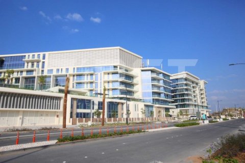 Saadiyat Island, Abu Dhabi, संयुक्त अरब अमीरात में अपार्टमेंट, 3 बेडरूम, 300 वर्ग मीटर, संख्या 407761 - फ़ोटो 9