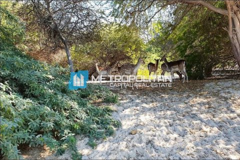Ghantoot, Abu Dhabi, संयुक्त अरब अमीरात में ज़मीन, 756.2 वर्ग मीटर, संख्या 536603 - फ़ोटो 7