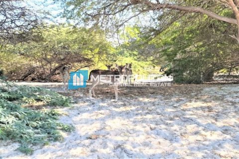 Ghantoot, Abu Dhabi, संयुक्त अरब अमीरात में ज़मीन, 756.2 वर्ग मीटर, संख्या 536603 - फ़ोटो 8