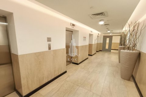 Lakás itt: Tourist Club Area, Abu Dhabi, EAE, 2 hálószoba, 199.7 m², azonosító: 535028 - fénykép 23