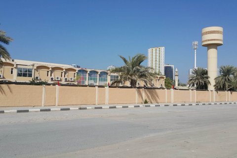 Umm Khanoor - foto 2