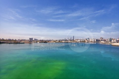Appartamento in affitto a Al Reem Island, Abu Dhabi, EAU 2 camere da letto, 142 mq. № 410456 - foto 8