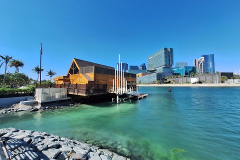 阿联酋 Abu Dhabi Tourist Club Area 待租 : 2 卧, 157.9 平方米 , 编号534991 - 照片 4