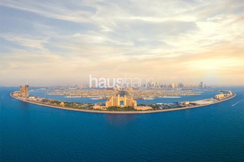 阿联酋 Dubai Palm Jumeirah 复式楼  4 卧, 810 平方米 , 编号 626347