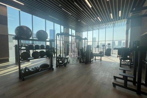 阿联酋 Abu Dhabi Al Reem Island 待售 : 2 卧, 159.7 平方米 , 编号549028 - 照片 20