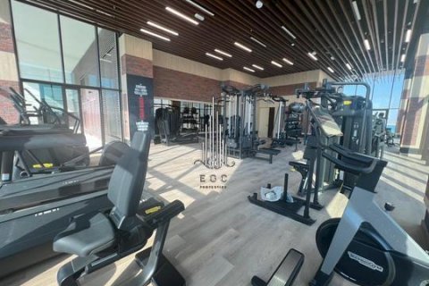 阿联酋 Abu Dhabi Al Reem Island 待售 : 2 卧, 159.7 平方米 , 编号549028 - 照片 21