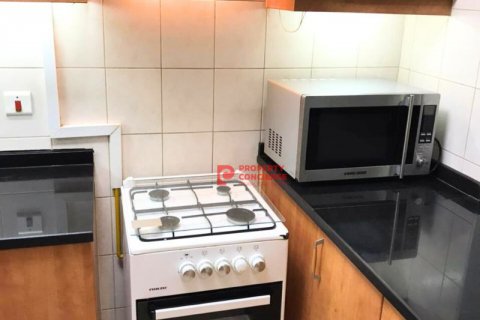 Appartement à louer à Discovery Gardens, Dubai, EAU 1 pièce, 45 m2 № 542149 - photo 7