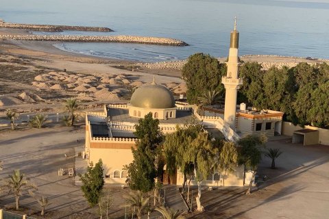Dahan - foto 4