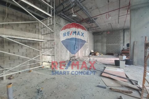 Trgovina na Saadiyat Island, Abu Dhabi, UAE 218 m2 Br. 570253 - Slika 17