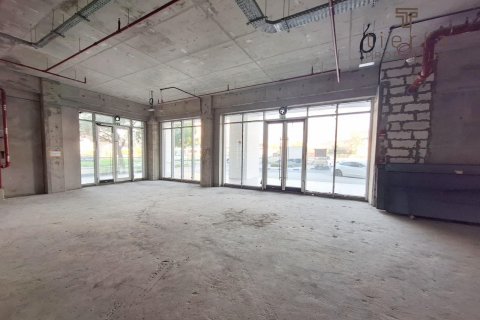 Toko di Dubai Land, UEA 380.9 m2 nomor 569351 - foto 5