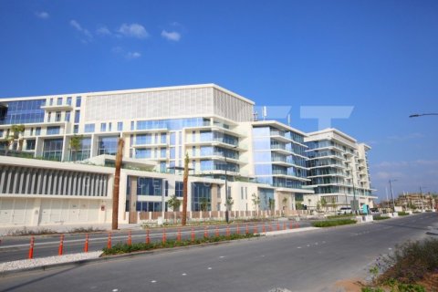 آپارتمان برای فروش در  Saadiyat Island، Abu Dhabi، امارات متحده عربی  1 خوابه ، 133.4 متر مربع ، شماره 407763 - تصویر 17