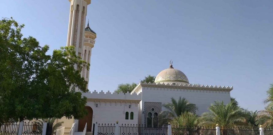 Al Masoodi