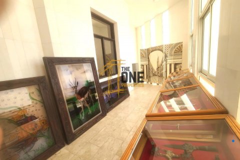 Villa till försäljning i Al Dhait, Ras Al Khaimah, UAE 3142.6 kvm Nr. 577458 - fotografi 3
