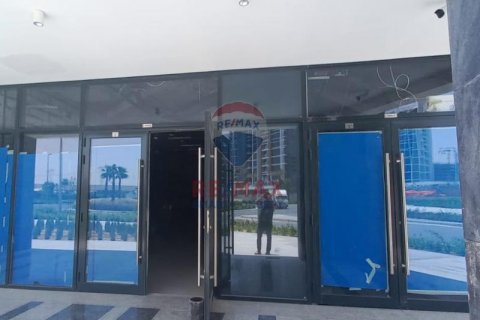 Toko di Meydan, Dubai, UEA 164.7 m2 nomor 458964 - foto 4