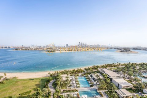شقة للبيع في نخلة جميرا، دبي، الإمارات العربية المتحدة 2 غرفة نوم ، 205 متر مربع ، رقم 591990 - صورة 13