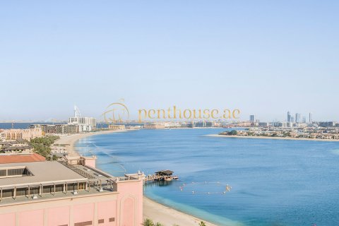 شقة للبيع في نخلة جميرا، دبي، الإمارات العربية المتحدة 2 غرفة نوم ، 205 متر مربع ، رقم 591990 - صورة 21