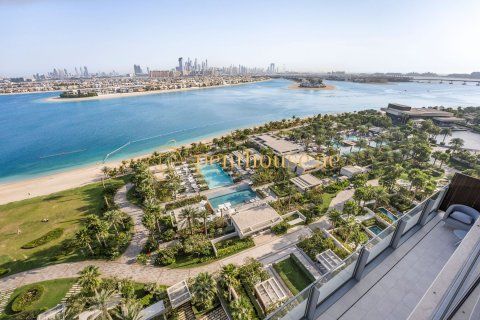شقة للبيع في نخلة جميرا، دبي، الإمارات العربية المتحدة 2 غرفة نوم ، 205 متر مربع ، رقم 591990 - صورة 18