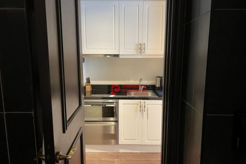 آپارتمان برای فروش در  Palm Jumeirah، Dubai، امارات متحده عربی  30 متر مربع ، شماره 542145 - تصویر 14