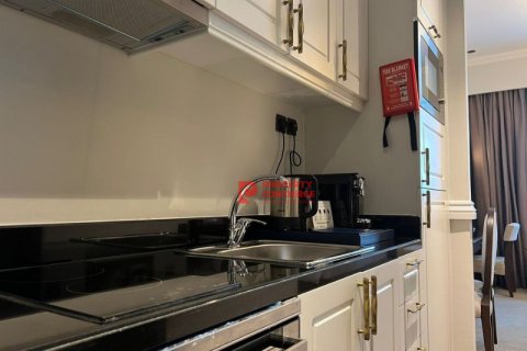 آپارتمان برای فروش در  Palm Jumeirah، Dubai، امارات متحده عربی  30 متر مربع ، شماره 542145 - تصویر 10