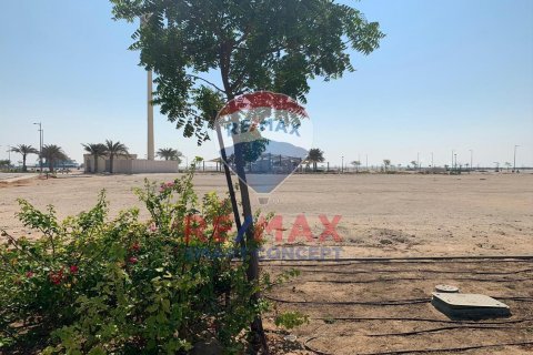 Tanah di Nareel Island, Abu Dhabi, UAE 1767 meter persegi № 446383 - foto 4