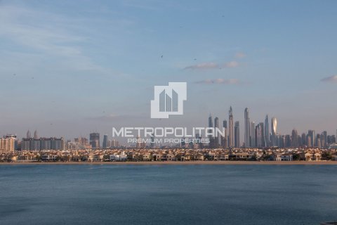 Apartmán v Palm Jumeirah, Dubai, SAE 4 spálne, 314 m2 č. 384599 - Fotografia 16