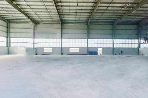 Üürile anda ladu asukohaga Dubai, AÜE: 5759.9 m² Nr 569293 - pilt 8